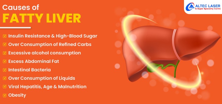Causes of fatty liver